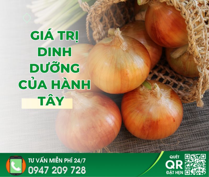 Tác dụng của hành tây với nam giới